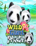 โหลด แอ พ sbobet ios เพื่อทดลองเล่นเกมสล็อตออนไลน์